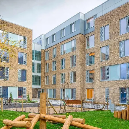 The Westwood Summer *