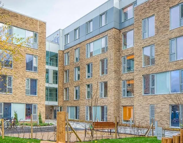 The Westwood Summer *